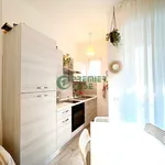 Rent 2 bedroom apartment of 55 m² in Turin