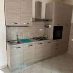 Rent 3 bedroom apartment of 60 m² in Tivoli