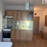 Rent 1 bedroom apartment of 24 m² in Mariánské Lázně