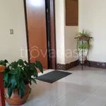 Rent 3 bedroom apartment of 80 m² in Vibo Valentia