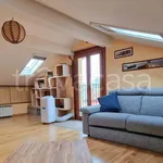 Rent 2 bedroom apartment of 50 m² in Padova