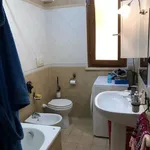 Rent 3 bedroom apartment of 60 m² in Roma