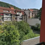 Rent 2 bedroom apartment of 50 m² in Heidelberg