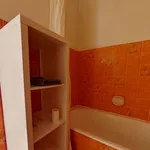 Rent 1 bedroom apartment of 26 m² in Lyon