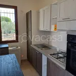 Rent 1 bedroom house of 55 m² in Marsala