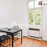 Rent 1 bedroom apartment in Prague