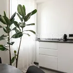 Rent 1 bedroom apartment of 70 m² in Milano