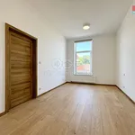 Pronajměte si 3 ložnic/e byt o rozloze 59 m² v Bzenec