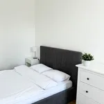 Rent 1 bedroom apartment of 30 m² in Prague