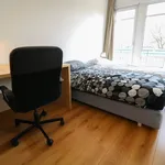 Rent 2 bedroom apartment of 113 m² in Den Haag