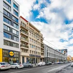 Pronajměte si 2 ložnic/e byt o rozloze 110 m² v Prague