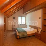 Rent 4 bedroom apartment of 110 m² in Ponte di Legno