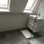 Rent 2 bedroom apartment of 95 m² in Enschede