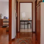 Rent 2 bedroom apartment of 72 m² in porto