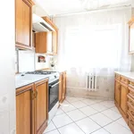 Rent 3 bedroom apartment of 63 m² in Sosnowiec