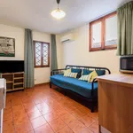 Rent 1 bedroom apartment in Florence