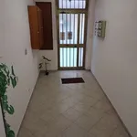 Rent 4 bedroom apartment of 140 m² in Palermo