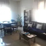 Rent 3 bedroom apartment of 90 m² in Pavia