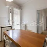 Rent 3 bedroom apartment of 100 m² in Firenze