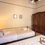 Rent 3 bedroom apartment of 60 m² in Firenze