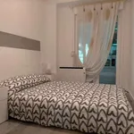 Rent a room in zaragoza