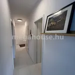 Rent 1 bedroom apartment of 64 m² in Budapest