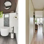 Rent 2 bedroom apartment of 47 m² in Oude Gracht-West