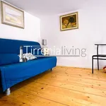 Rent 2 bedroom apartment of 55 m² in Pisa