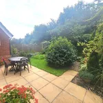 Rent 3 bedroom house in Folkestone and Hythe District