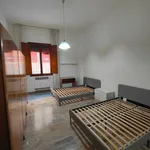 Rent 2 bedroom apartment of 60 m² in Bologna