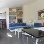 Rent 2 bedroom house of 50 m² in Livorno