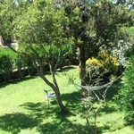 Rent 1 bedroom house of 150 m² in Arzachena