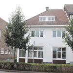 Rent 10 bedroom house of 235 m² in Sittard-Centrum