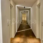 Rent 2 bedroom apartment of 60 m² in Padova