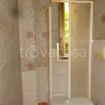 Rent 1 bedroom apartment of 50 m² in Roma