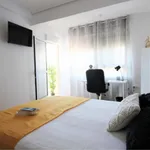 Rent 4 bedroom apartment in Valencia