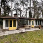 Rent 4 bedroom house of 92 m² in Verspreide huizen Baarn