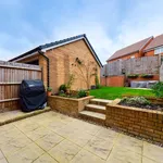 Rent 5 bedroom house in Basingstoke and Deane