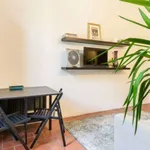 Rent 1 bedroom apartment of 50 m² in florence