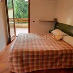 Rent 3 bedroom apartment of 80 m² in Campodolcino