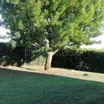 Rent 2 bedroom house of 110 m² in Montalto di Castro