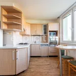 Rent 3 bedroom apartment of 76 m² in Brno