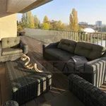 Rent 4 bedroom apartment of 250 m² in Prague