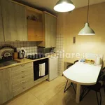 Rent 1 bedroom apartment of 44 m² in Triest