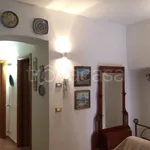 Rent 2 bedroom apartment of 50 m² in Termoli