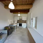 Rent 3 bedroom apartment of 50 m² in Ferrara