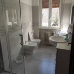 Rent 4 bedroom apartment of 100 m² in Pavia