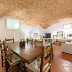 Rent 3 bedroom apartment of 60 m² in Firenze