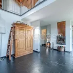 Rent 5 bedroom apartment of 150 m² in Torino