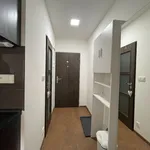 Rent 1 bedroom apartment in Karlovy Vary